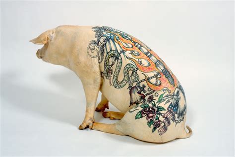 wim delvoye pig tattoo